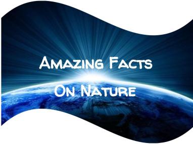 Amazing facts on nature